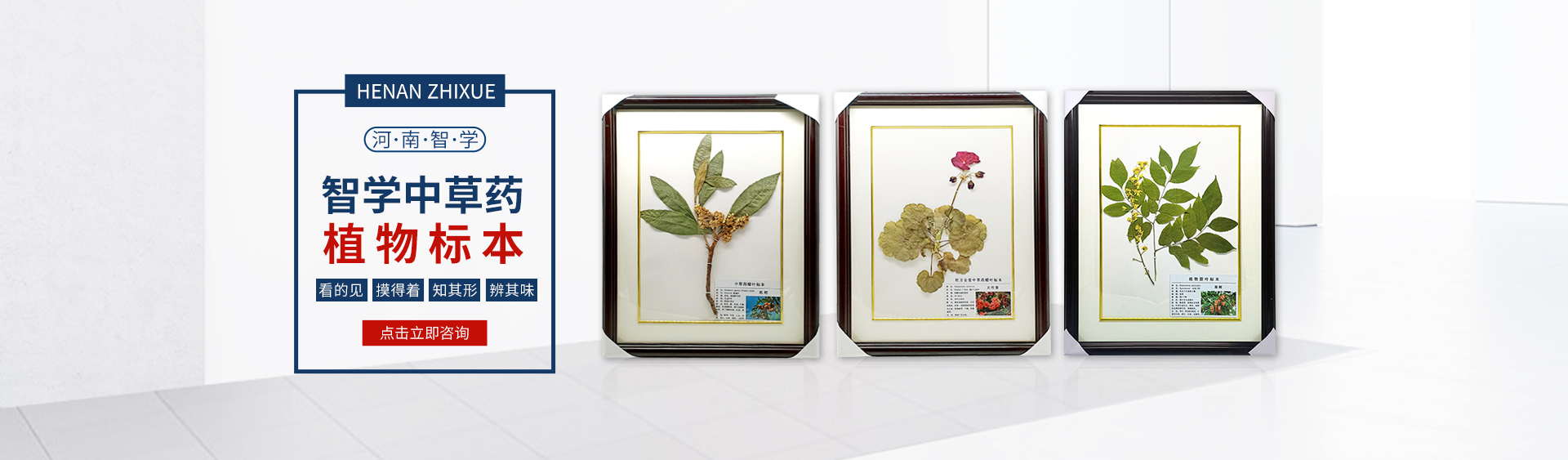 河南智學(xué)教育裝備有限公司