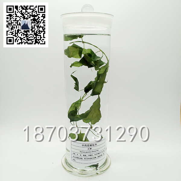 中草藥標(biāo)本 (9)