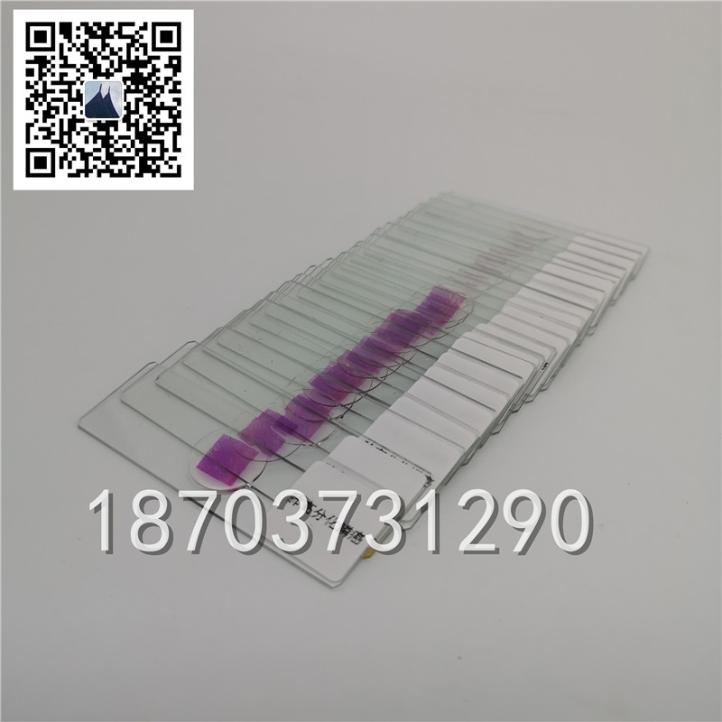 顯微鏡標(biāo)本 (1)